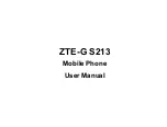 Zte ZTE-G S213 User Manual preview