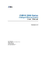 Zte ZXR10 2900 Series User Manual preview