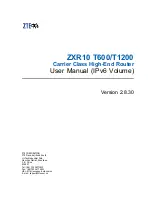 Предварительный просмотр 1 страницы Zte ZXR10 T1200 User Manual