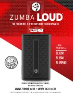 Preview for 16 page of ZUMBA LOUD ZL12M User Manual