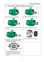 Preview for 17 page of Zuwa ACOSTAR 2000-A Operating Instructions Manual