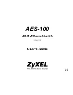 ZyXEL Communications AES-100 User Manual предпросмотр