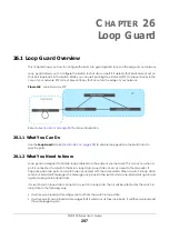 Preview for 207 page of ZyXEL Communications XGS1930-38 User Manual