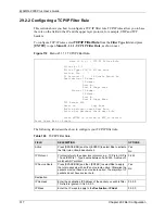 Предварительный просмотр 318 страницы ZyXEL Communications ZyAIR G-2000 Plus User Manual