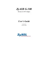 Preview for 1 page of ZyXEL Communications ZYAIR G-300 User Manual